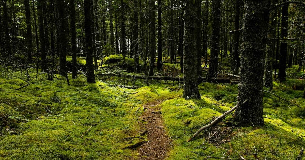path